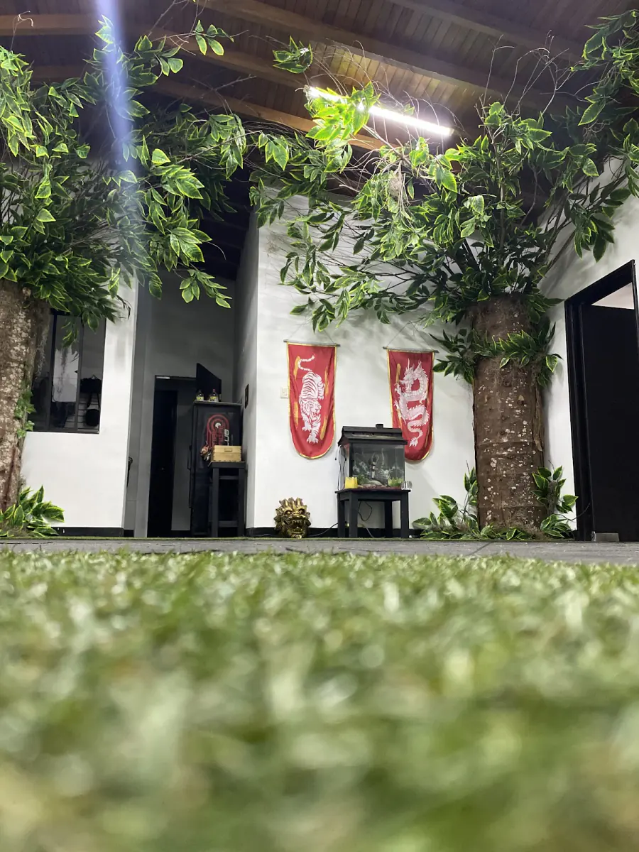 Patio del club con grama, árboles y estandartes rojos con el dragón